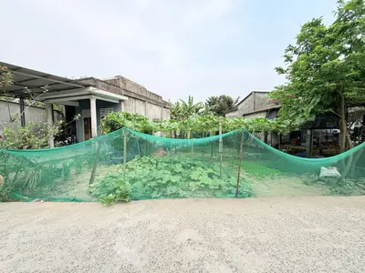 Bán đất Thôn Quan Nam 1 Hòa Liên, Liên Chiểu – 113,5 m², 2,08 tỷ – ảnh 5