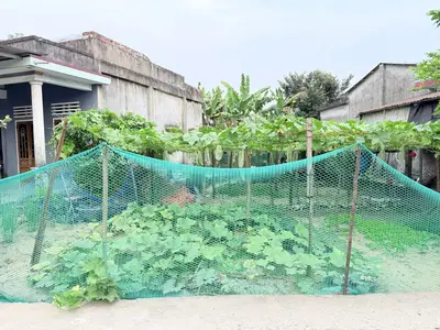 Bán đất Thôn Quan Nam 1 Hòa Liên, Liên Chiểu – 113,5 m², 2,08 tỷ – ảnh 11