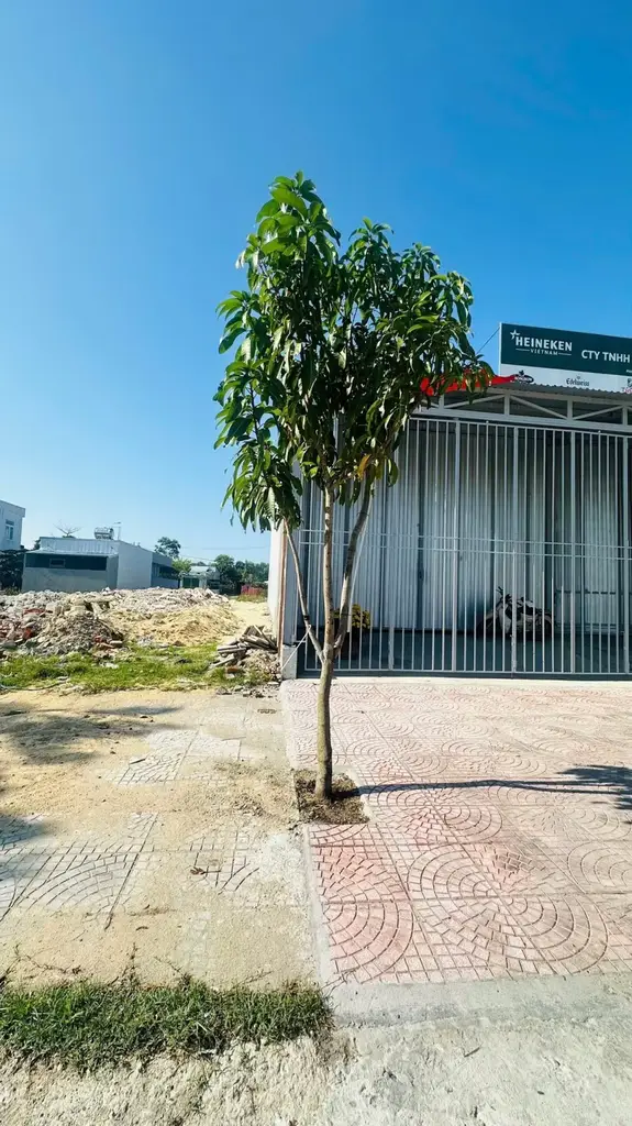 Bán đất mặt tiền Phạm Huy Thông, Hội An – 168,6 m², 4,7 tỷ – ảnh 5