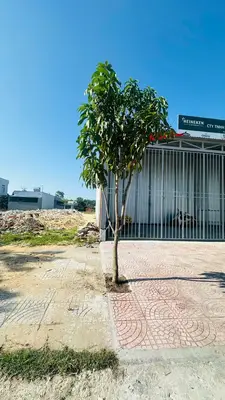 Bán đất mặt tiền Phạm Huy Thông, Hội An – 168,6 m², 4,7 tỷ – ảnh 5