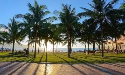 Bán nhà cấp 4 Lạc Long Quân, Hội An – 226 m², 14,2 tỷ
