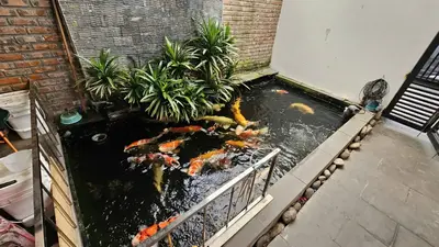Bán nhà mặt tiền Mai Chí Thọ, Cẩm Lệ – 106,7 m², 3 tầng, 10,85 tỷ – ảnh 10