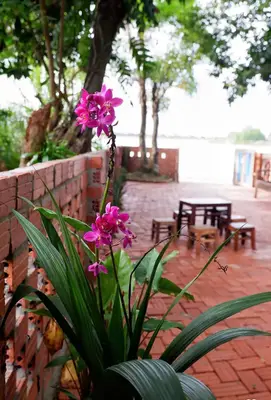 Bán nhà Đông Hà 1, Hội An – 113 m², 1 tầng, 2,6 tỷ – ảnh 9