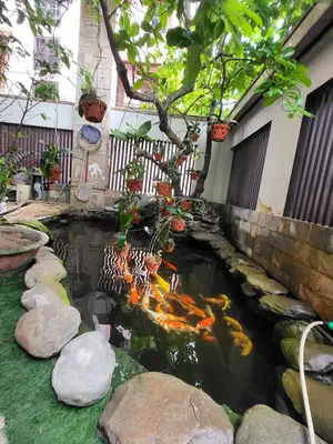 Bán nhà mặt tiền Nguyễn Xuân Nhĩ, Hải Châu – 375 m², 5 tầng, 50 tỷ – ảnh 7
