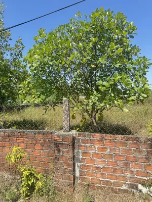 Bán đất Thái Cẩm, Điện Bàn – 100 m², 1,05 tỷ