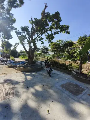 Bán nhà mặt tiền Chúc Động, Liên Chiểu – 81 m², 3 tầng, 9,8 tỷ – ảnh 7