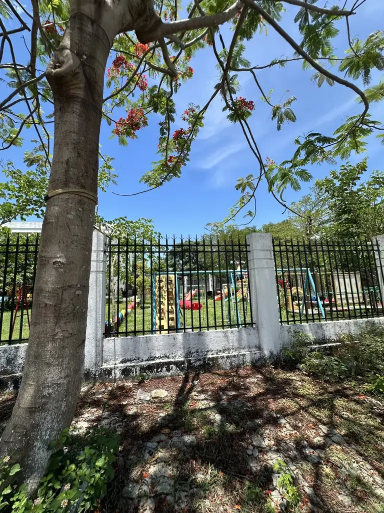 Bán đất mặt tiền Kim Liên 2, Liên Chiểu – 100 m², 3,5 tỷ – ảnh 3