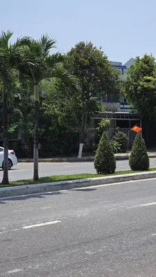Bán đất mặt tiền Cách Mạng Tháng Tám, Cẩm Lệ – 500 m², 25 tỷ