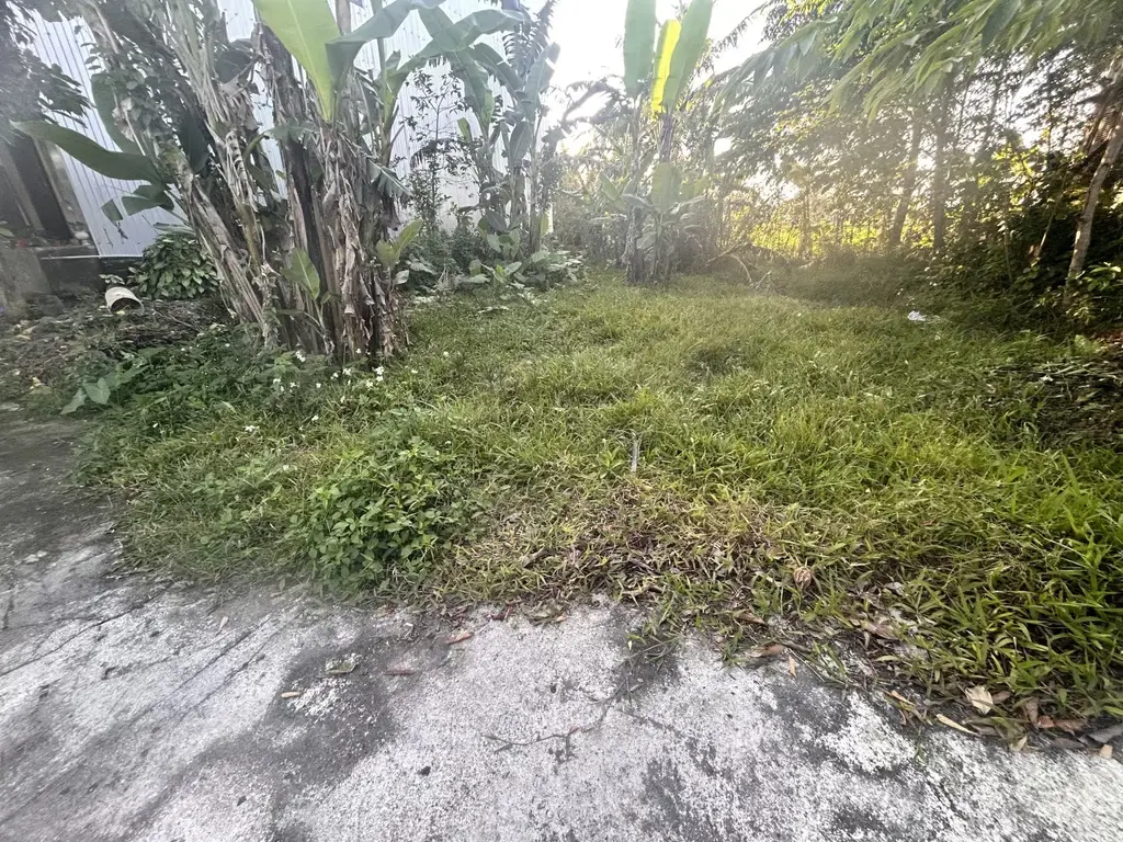 Bán đất Thôn La Hòa, Quảng Nam (khu khác) – 150 m², 700 triệu – ảnh 3