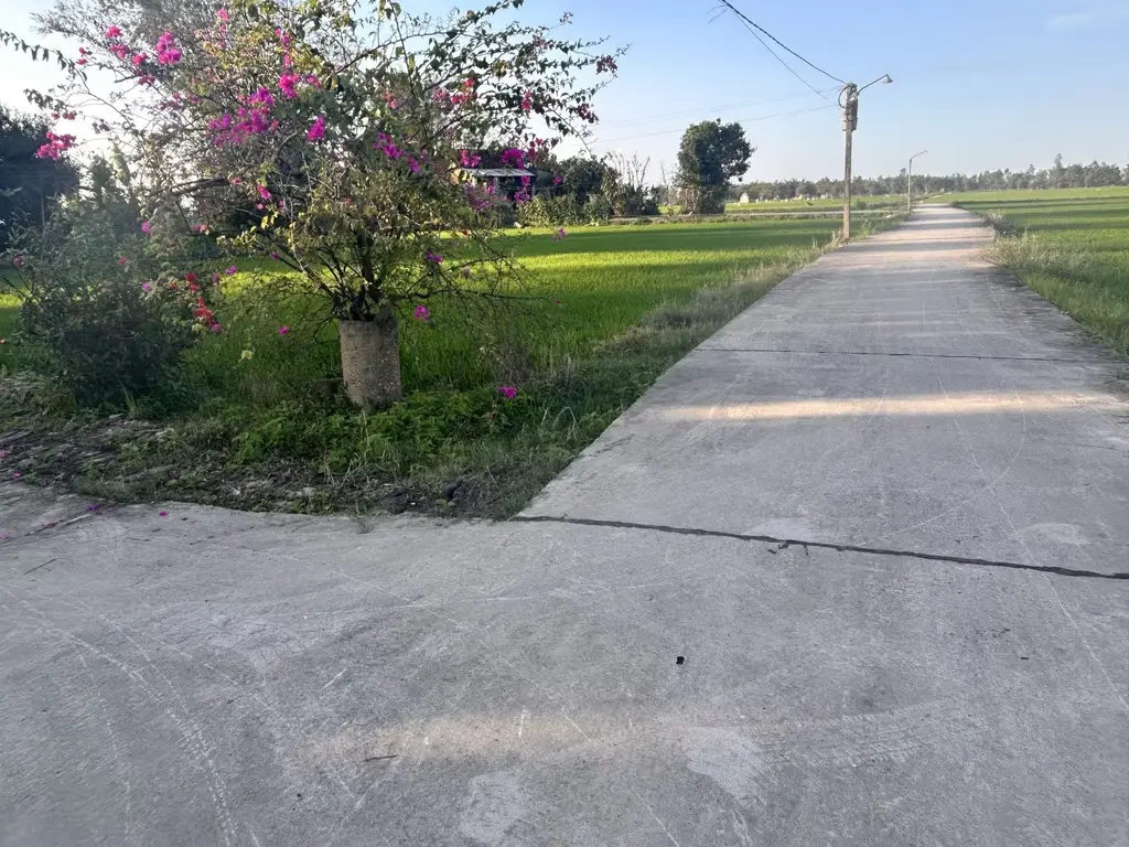 Bán đất Thôn La Hòa, Quảng Nam (khu khác) – 150 m², 700 triệu – ảnh 4