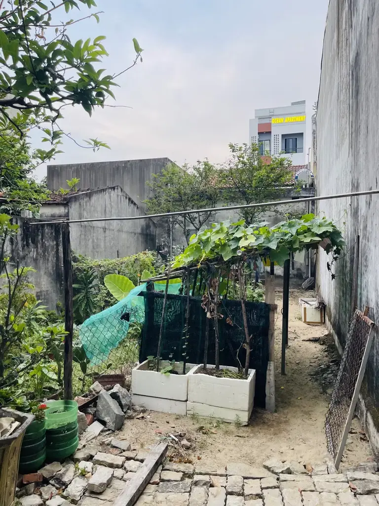 Bán đất mặt tiền Nguyễn Dục, Ngũ Hành Sơn – 91,2 m², 5,8 tỷ – ảnh 2