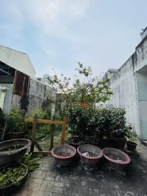 Bán đất mặt tiền Nguyễn Dục, Ngũ Hành Sơn – 91,2 m², 5,8 tỷ – ảnh 4