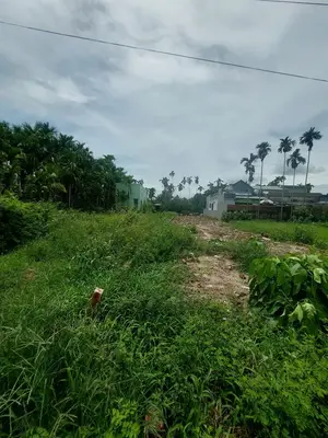 Bán đất Hòa Tiến, Hòa Vang – 204 m², 1,65 tỷ