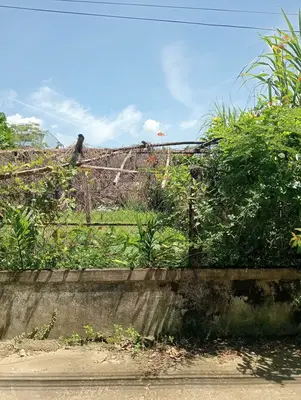 Bán nhà Lệ Sơn Bắc Hòa Tiến, Hòa Vang – 110 m², 5,7 tầng, 2,1 tỷ – ảnh 3