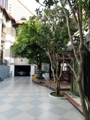 Bán nhà mặt tiền Dương Đình Nghệ, Sơn Trà – 648 m², 3 tầng, 147 tỷ – ảnh 5