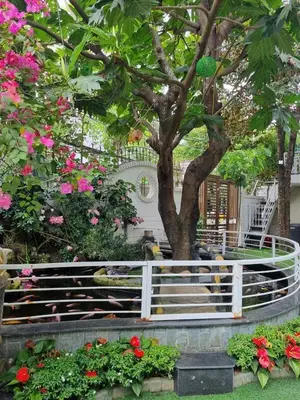 Bán nhà mặt tiền Dương Đình Nghệ, Sơn Trà – 648 m², 3 tầng, 147 tỷ – ảnh 6