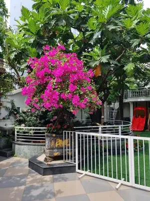 Bán nhà mặt tiền Dương Đình Nghệ, Sơn Trà – 648 m², 3 tầng, 147 tỷ – ảnh 9