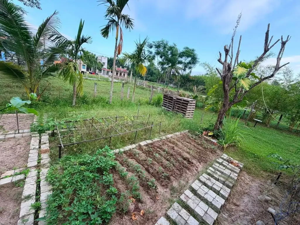 Bán nhà cấp 4 mặt tiền Hòa Khương, Hòa Vang – 1.781 m², 20,8 tỷ – ảnh 3