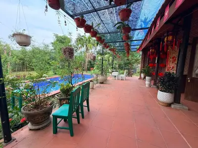 Bán nhà cấp 4 mặt tiền Hòa Khương, Hòa Vang – 1.781 m², 20,8 tỷ – ảnh 8