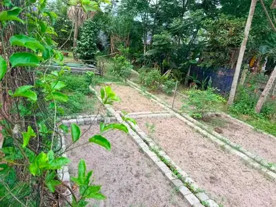 Bán nhà cấp 4 mặt tiền Hòa Khương, Hòa Vang – 1.781 m², 20,8 tỷ – ảnh 9