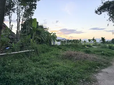 Bán đất Kiệt Thôn La Châu – Phường Hòa Tiến, Hòa Vang – 150 m², 1,15 tỷ