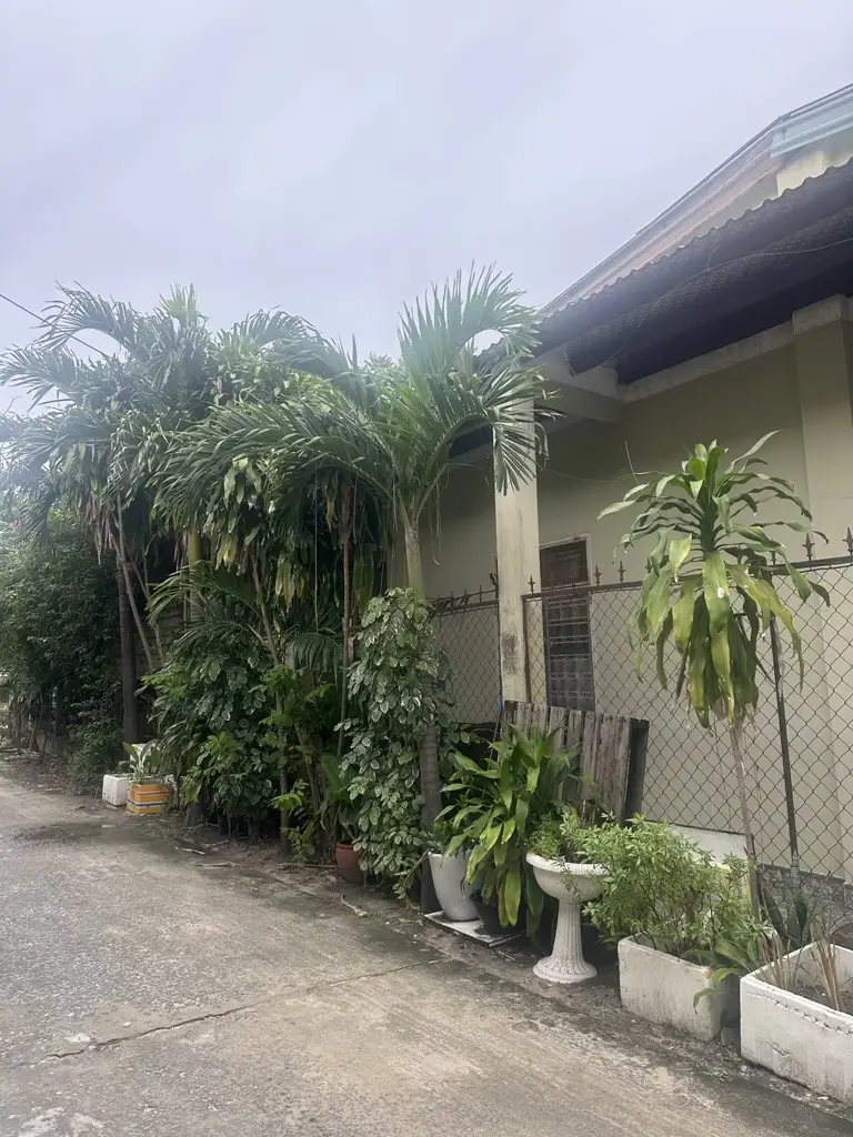 Bán nhà cấp 4 Phan Văn Định, Liên Chiểu – 375 m², 14,7 tỷ – ảnh 2