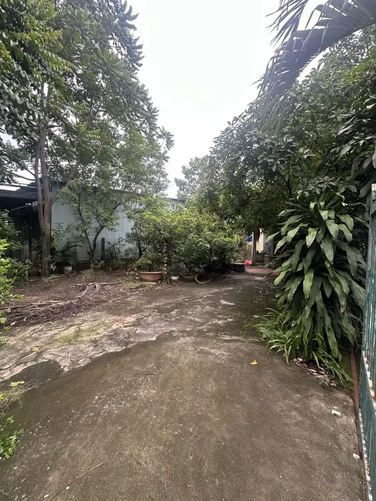 Bán nhà cấp 4 Phan Văn Định, Liên Chiểu – 375 m², 14,7 tỷ – ảnh 3