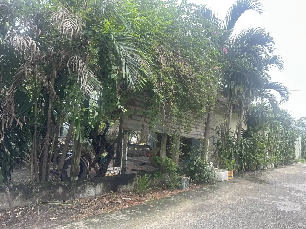 Bán nhà cấp 4 Phan Văn Định, Liên Chiểu – 375 m², 14,7 tỷ – ảnh 4