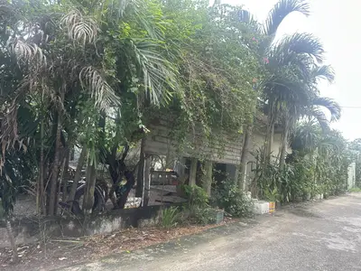 Bán nhà cấp 4 Phan Văn Định, Liên Chiểu – 375 m², 14,7 tỷ – ảnh 4