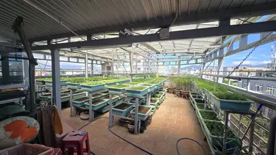 Bán nhà Văn Cận, Cẩm Lệ – 138 m², 5 tầng, 36,5 tỷ