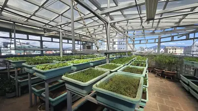 Bán nhà Văn Cận, Cẩm Lệ – 138 m², 5 tầng, 36,5 tỷ – ảnh 4