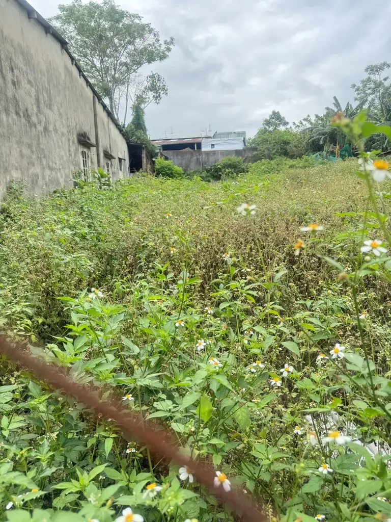 Bán đất Trường Sơn, Cẩm Lệ – 228 m², 2,5 tỷ – ảnh 2