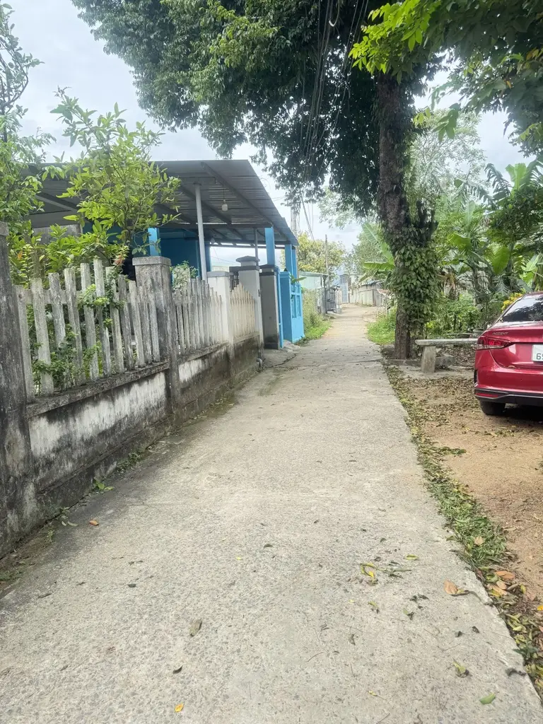 Bán đất Trường Sơn, Cẩm Lệ – 228 m², 2,5 tỷ – ảnh 4