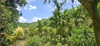 Bán đất An Sơn, Hòa Ninh, Hòa Vang – 3.095 m², 1,4 tỷ – ảnh 9