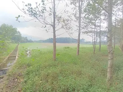 Bán đất Thôn Hòa Phước xã Hòa Phú huyện Hòa Vang, Hòa Vang – 2.732 m², 1,69 tỷ