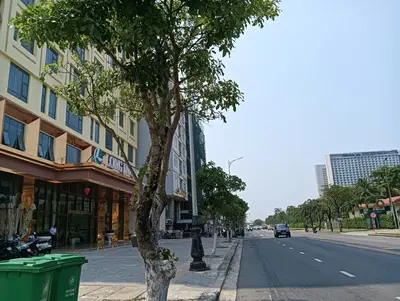 Bán đất mặt tiền Võ Nguyên Giáp, Ngũ Hành Sơn – 156,7 m², 27,5 tỷ – ảnh 7