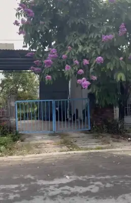 Bán đất mặt tiền Đồng Nà 1, Hội An – 100 m², 2,95 tỷ – ảnh 3