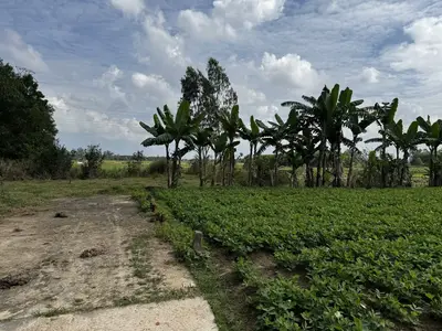 Bán đất Thôn Phú Mỹ xã Đại Hiệp Đại Lộc, Quảng Nam (khu khác) – 170 m², 750 triệu