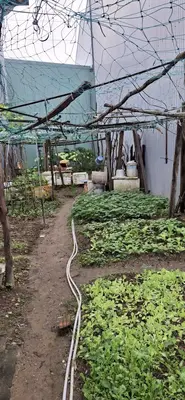 Bán đất mặt tiền Hoàng Hiệp, Cẩm Lệ – 100 m², 6,7 tỷ – ảnh 7