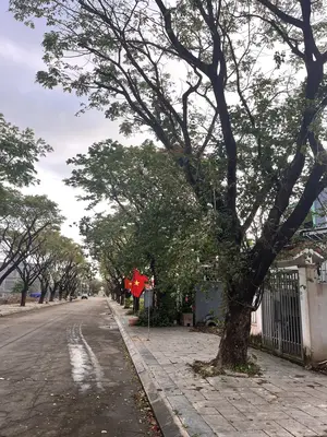 Bán đất mặt tiền Đường A -12 Khu đô thị Golden Hills, Liên Chiểu – 125 m², 4,2 tỷ – ảnh 6