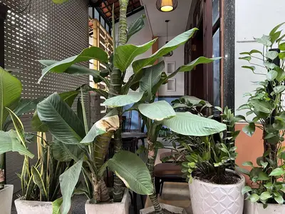 Bán nhà Cù Chính Lan, Thanh Khê – 199 m², 2 tầng, 16,4 tỷ – ảnh 8