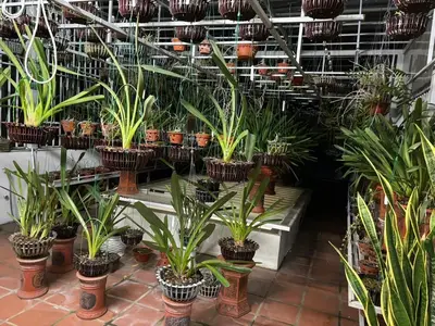 Bán nhà mặt tiền Điện Biên Phủ, Thanh Khê – 144 m², 5 tầng, 11,9 tỷ – ảnh 11