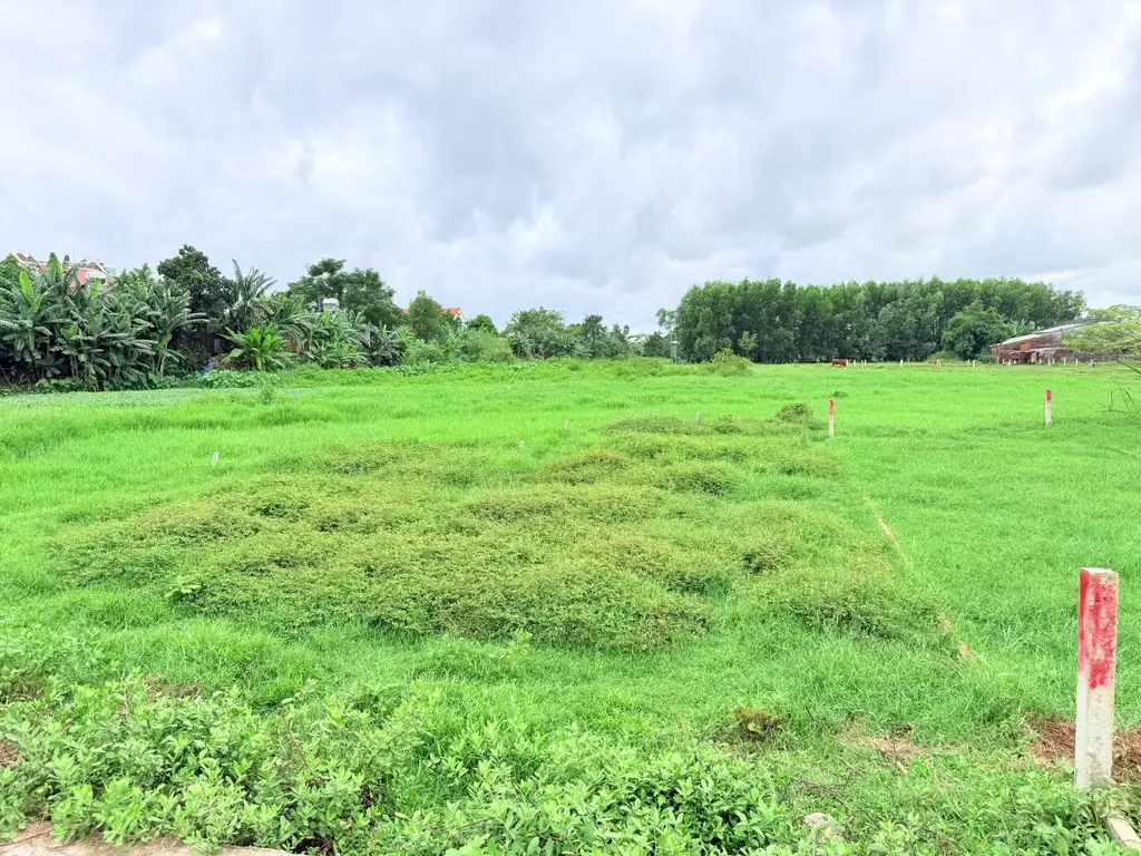 Bán đất Thôn Đại Hiệp Nam, Quảng Nam (khu khác) – 94,5 m², 699 triệu – ảnh 2