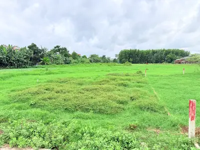 Bán đất Thôn Đại Hiệp Nam, Quảng Nam (khu khác) – 94,5 m², 699 triệu – ảnh 2