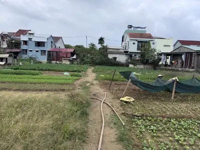 Bán đất Đường Trần Trung Tri, Hội An – 2.070 m², 43,5 tỷ