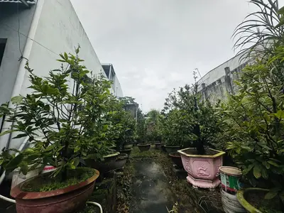 Bán nhà cấp 4 mặt tiền Trần Hưng Đạo, Quảng Nam (khu khác) – 520 m², 9 tỷ – ảnh 8