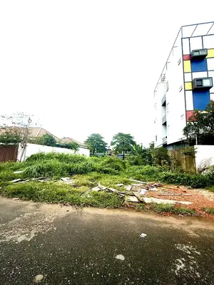 Bán đất Vùng Trung 4, Ngũ Hành Sơn – 300 m², 15,5 tỷ – ảnh 2