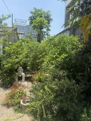 Bán nhà cấp 4 Kiệt Nguyễn Đình Chiểu, Hội An – 397,9 m², 11,9 tỷ