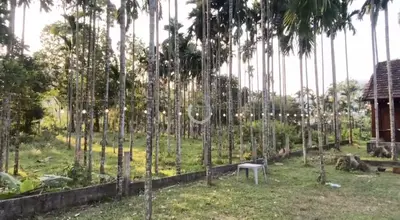 Bán đất Hòa Bắc, Hòa Vang – 649,4 m², 3,99 tỷ – ảnh 7