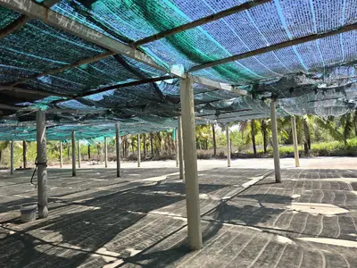 Bán đất mặt tiền Thôn Hà Bình, Quảng Nam (khu khác) – 23.746,5 m², 115 tỷ – ảnh 7